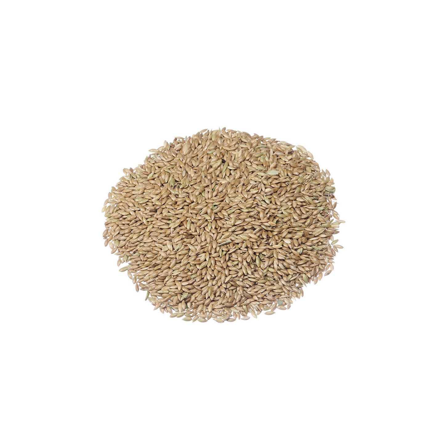 Canary Seed Supplemental Feed Fir Animals 50 LBS