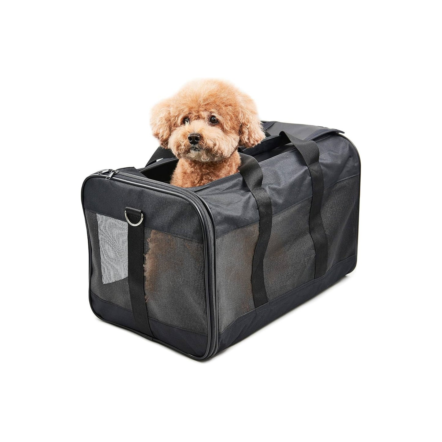 Small Dog Traveler Case