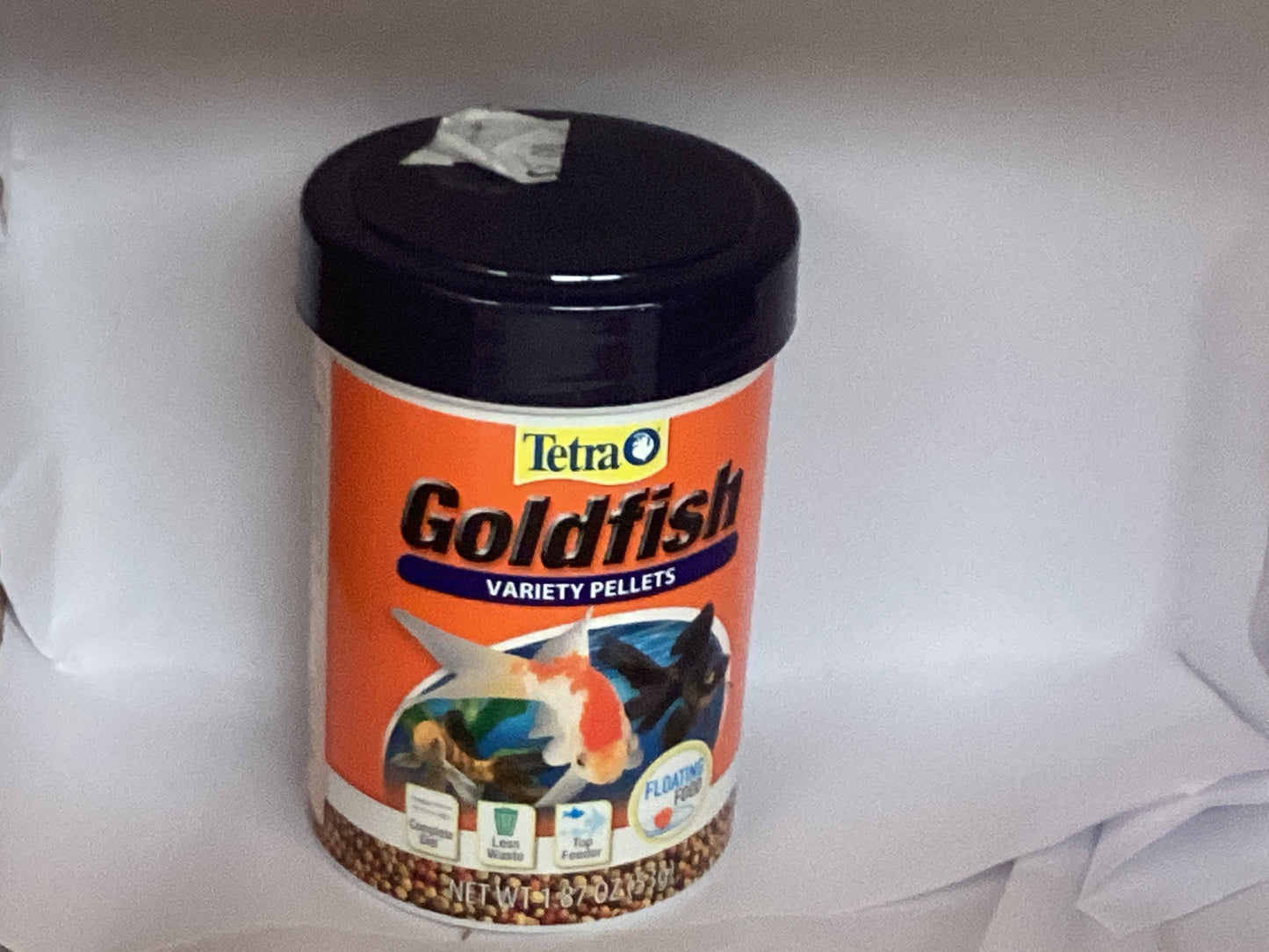 Tetra golden fish variety pallets