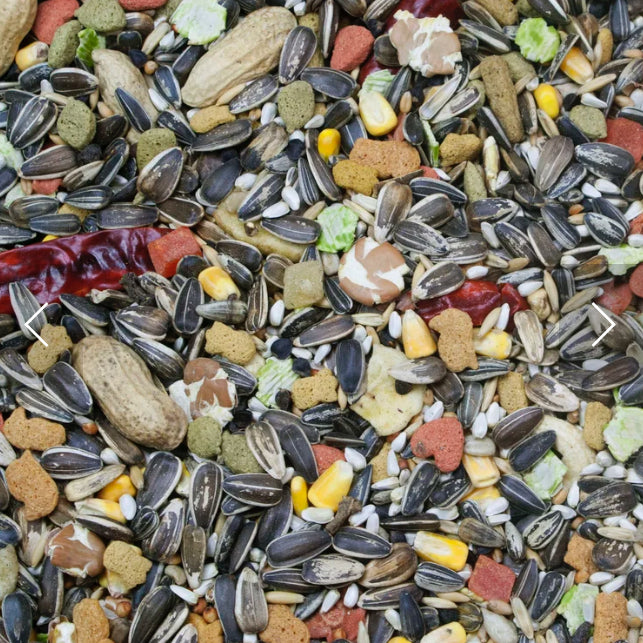 Higgins Vita Seed Natural Blend For Parrot
