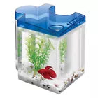 Aqueon Betta Puzzle