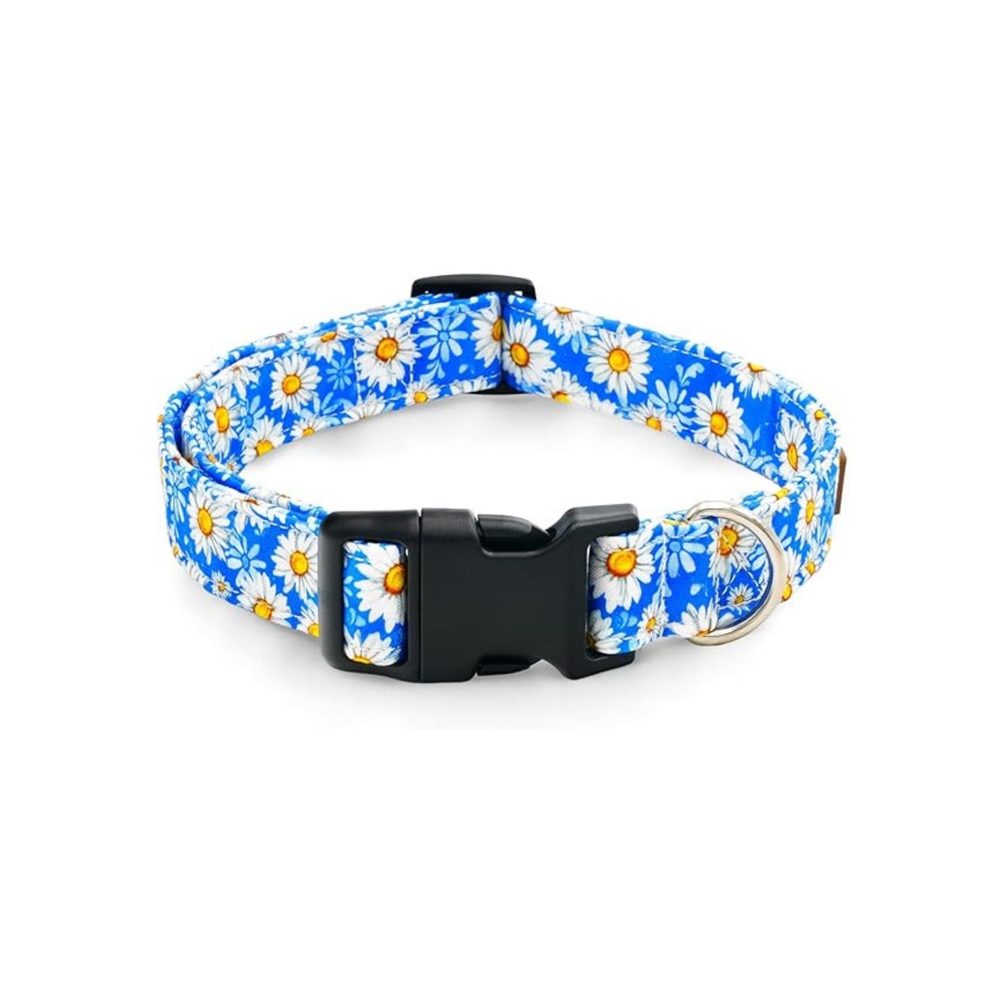 P Dog Collar Blue Floral Large