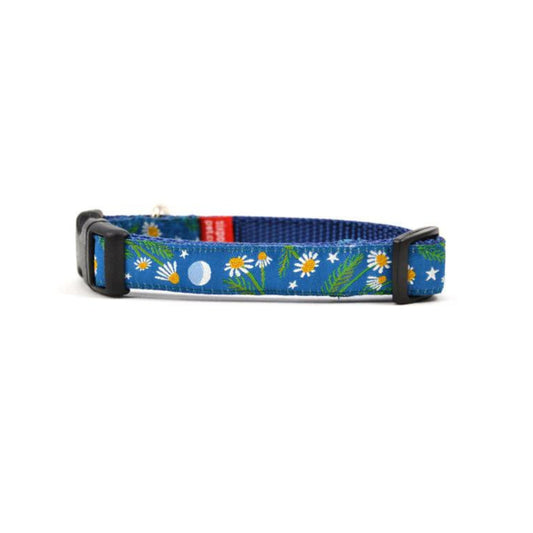 P Dog Collar Blue Floral Small