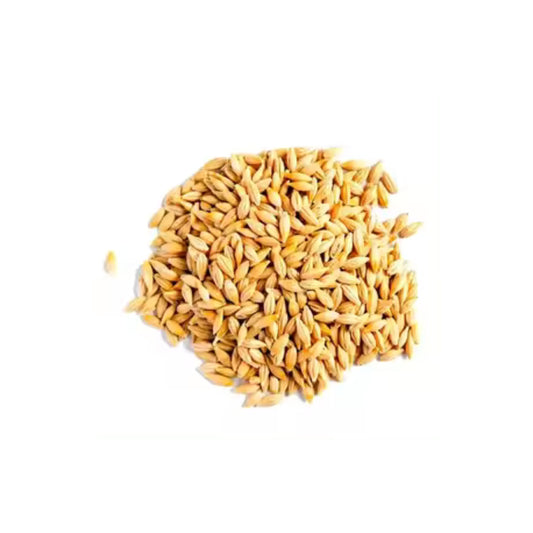 M123 Mias Barley Seeds 5lbs