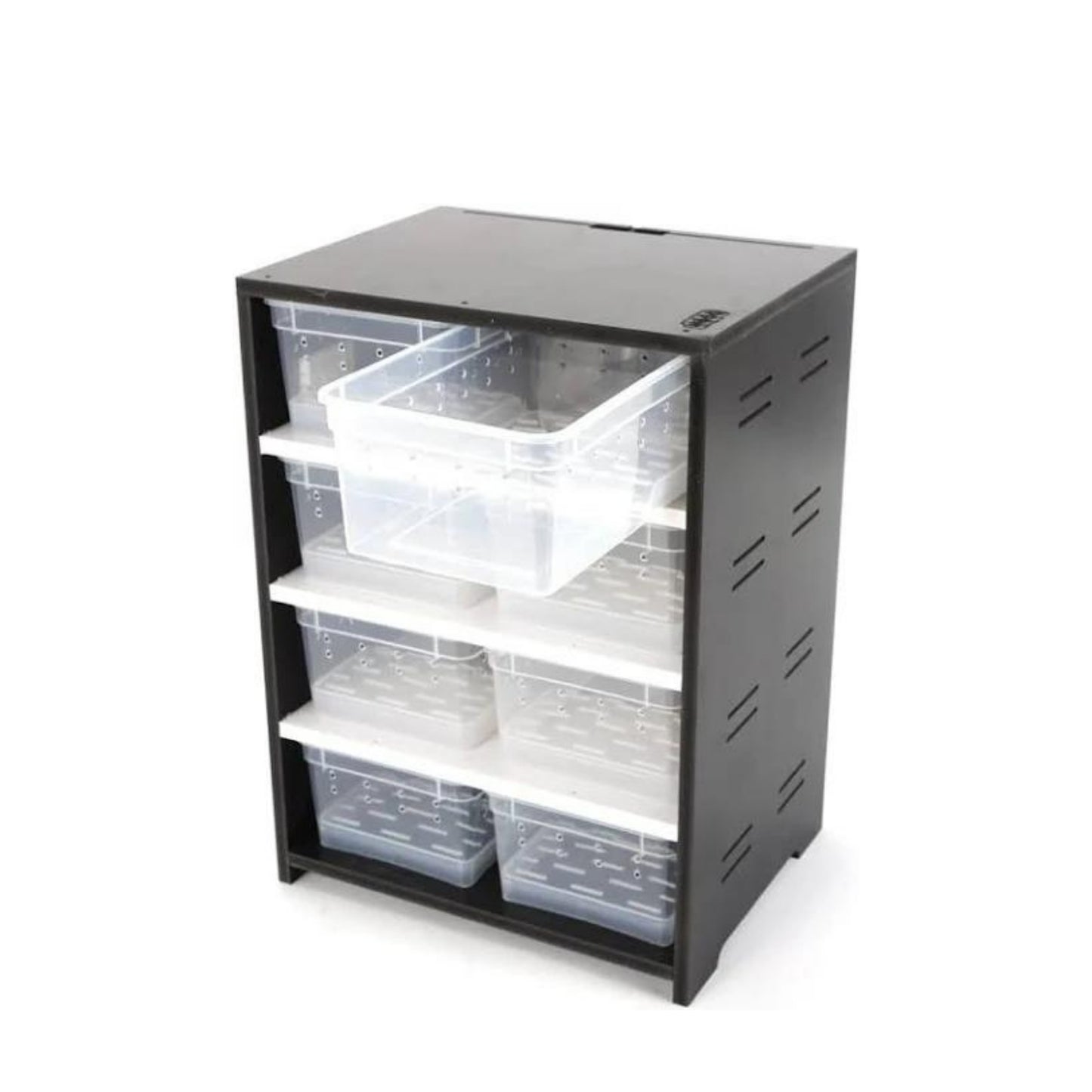 R27 Chameleon Cage 8 Female