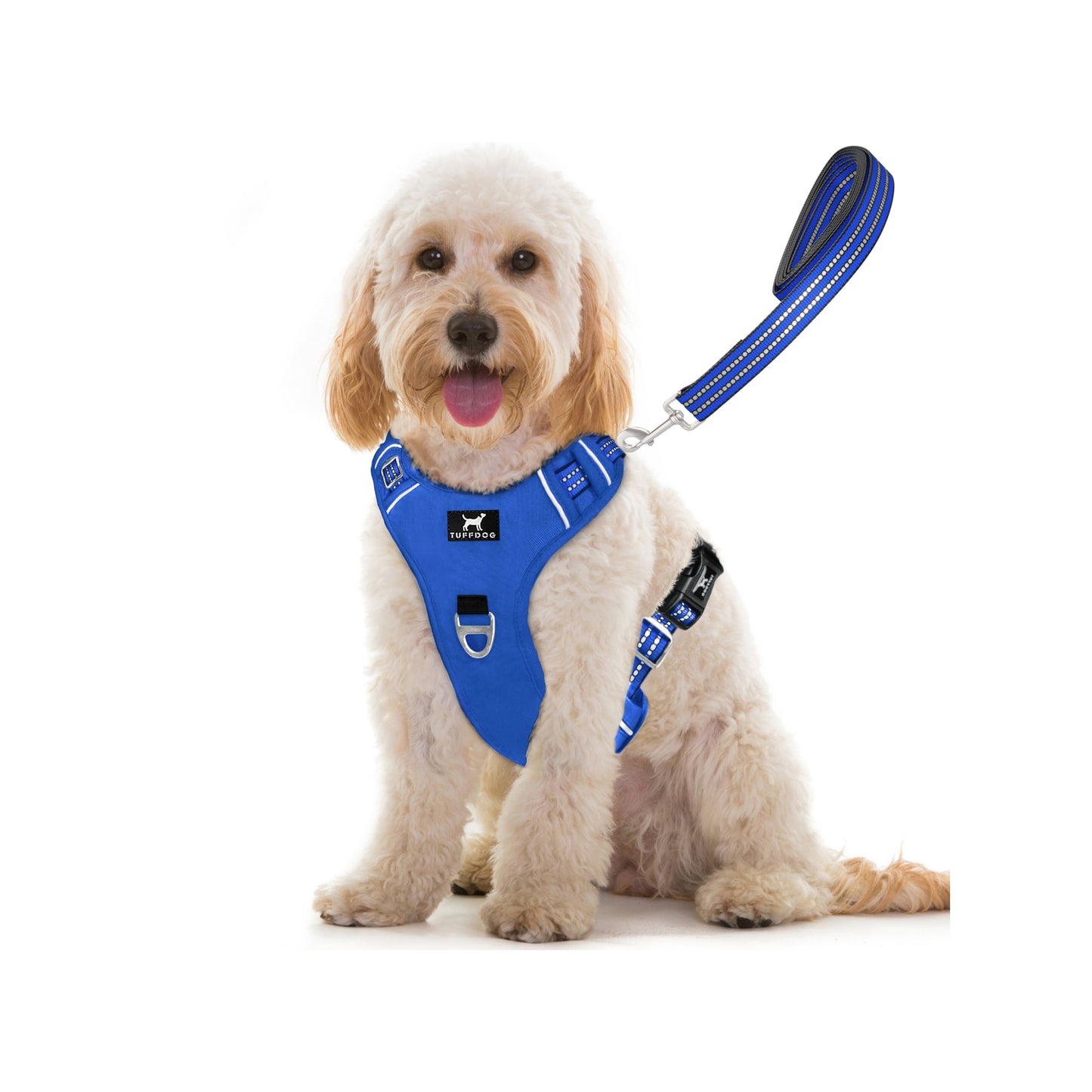 Dig Harness Bright Blue Small