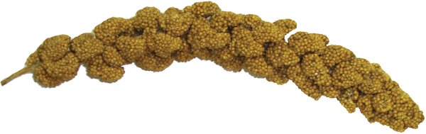 Spray Millet M138