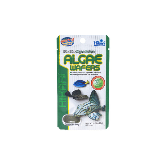 Hikari Algae Wafers