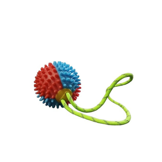 Dog Toy