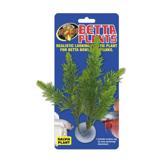 Betta Plants Salvia Plant