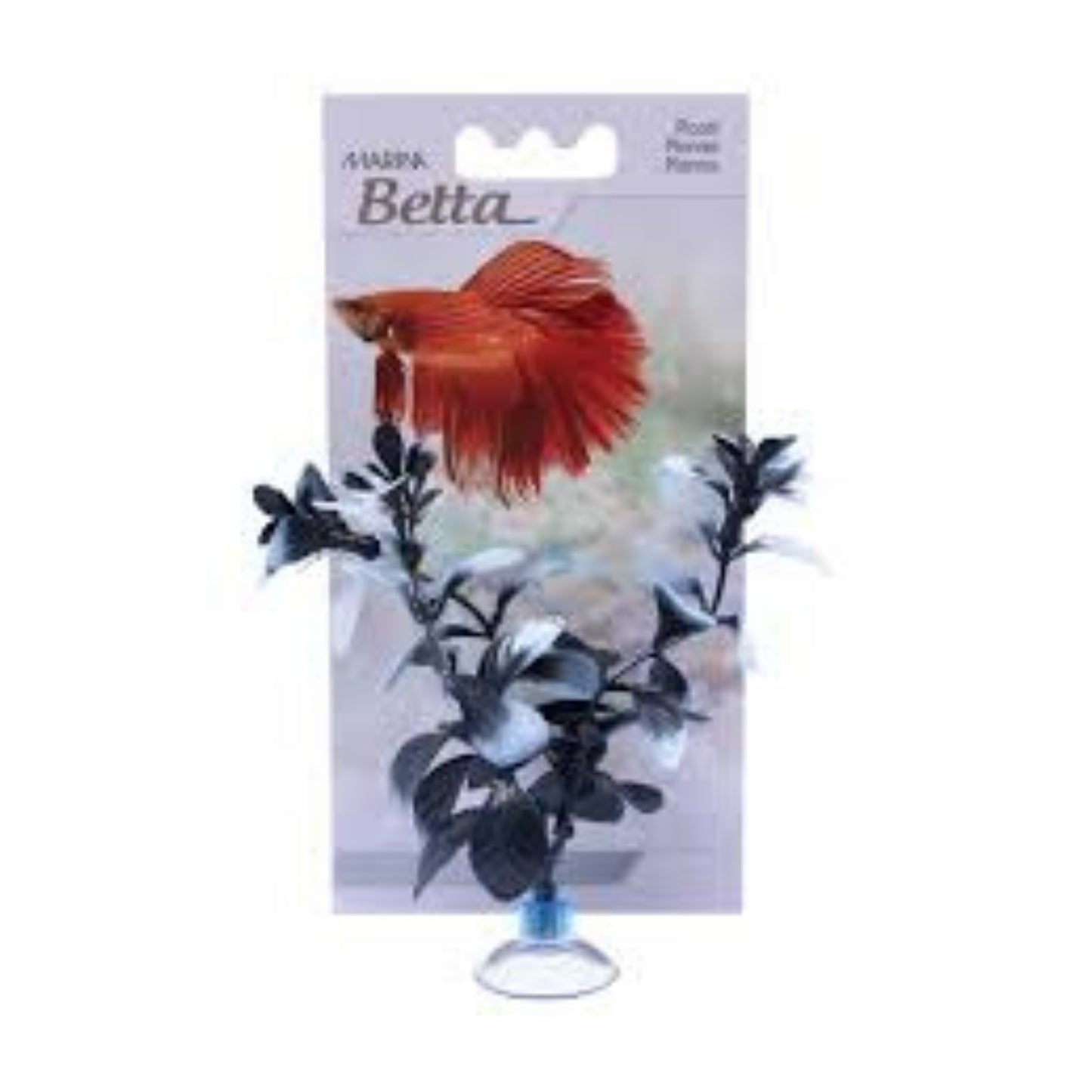 Marina Betta Plant