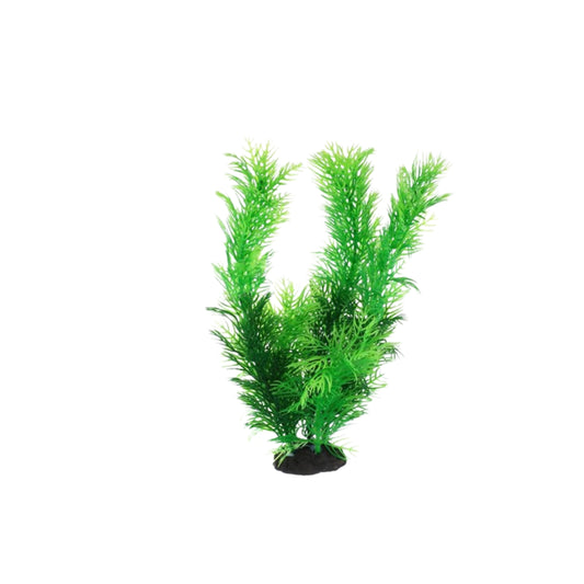 M43 Mia's Decor Assorted Loose Plants (Large)