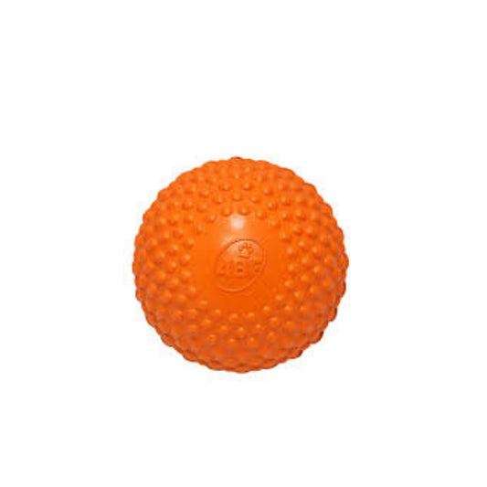 Dog Ball