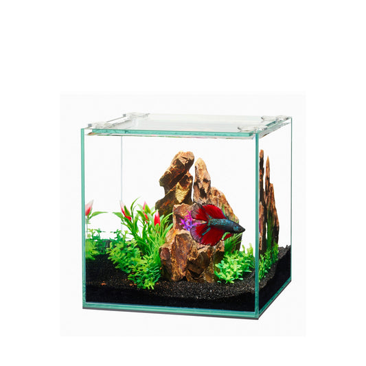 Aqueon Frameless Glass Aquarium