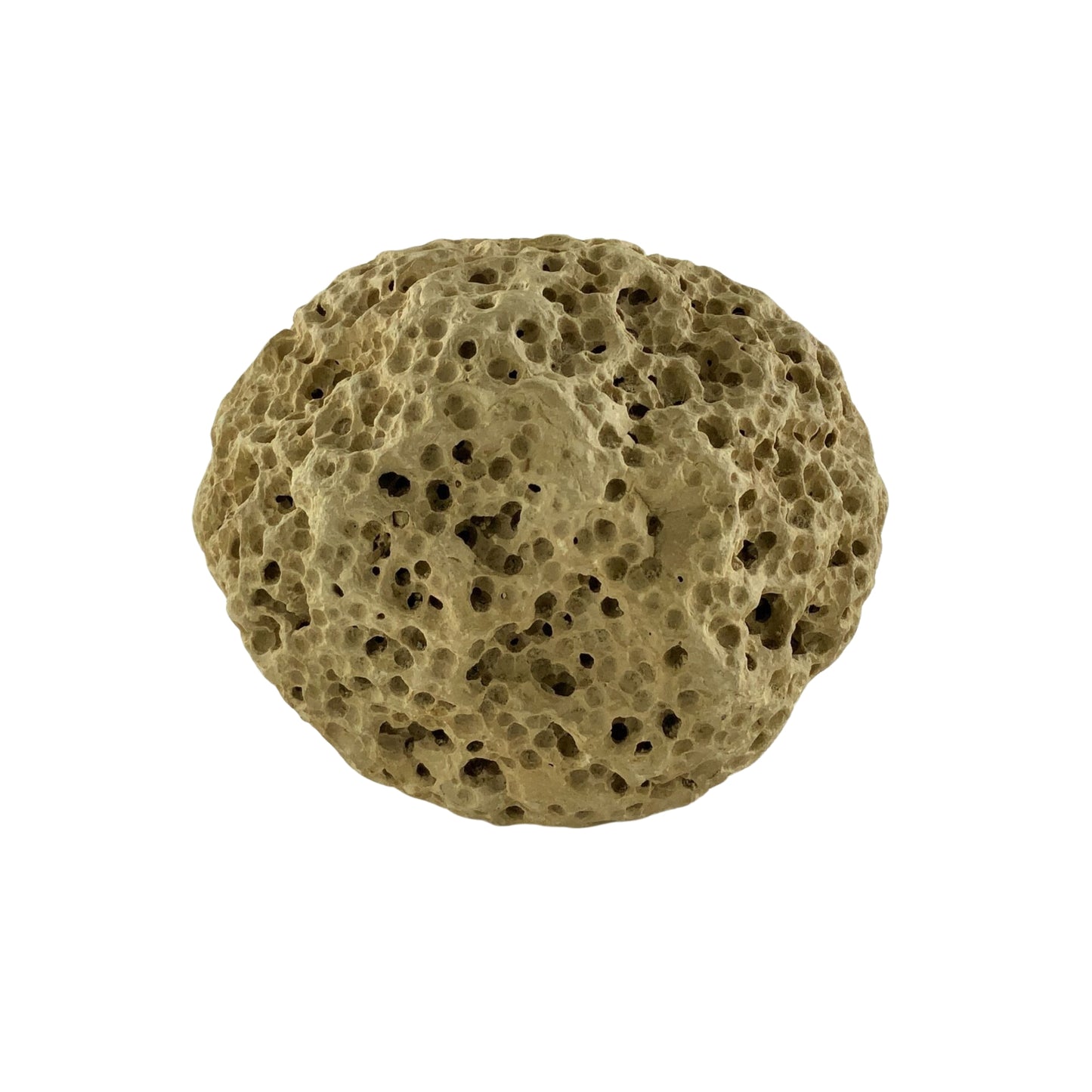 M56 Decor Sponge Rocks Assorted