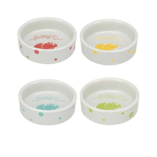 Pet Bowl White Multi Colors