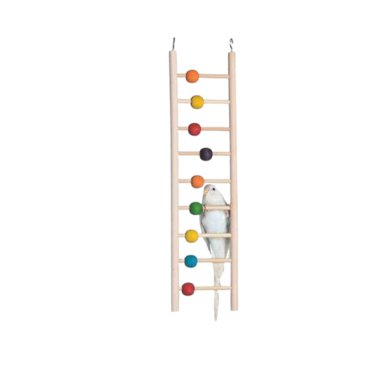 Bird Ladder (For Small & Medium Birds)