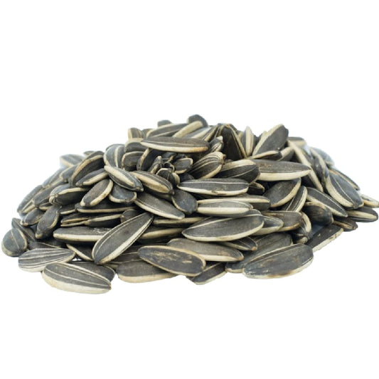 M193 Sunflower Seed Bird Food 10 Lb