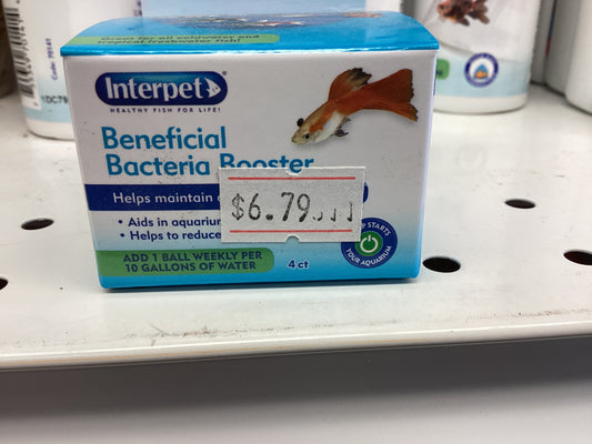 interpet beneficial bacteteria