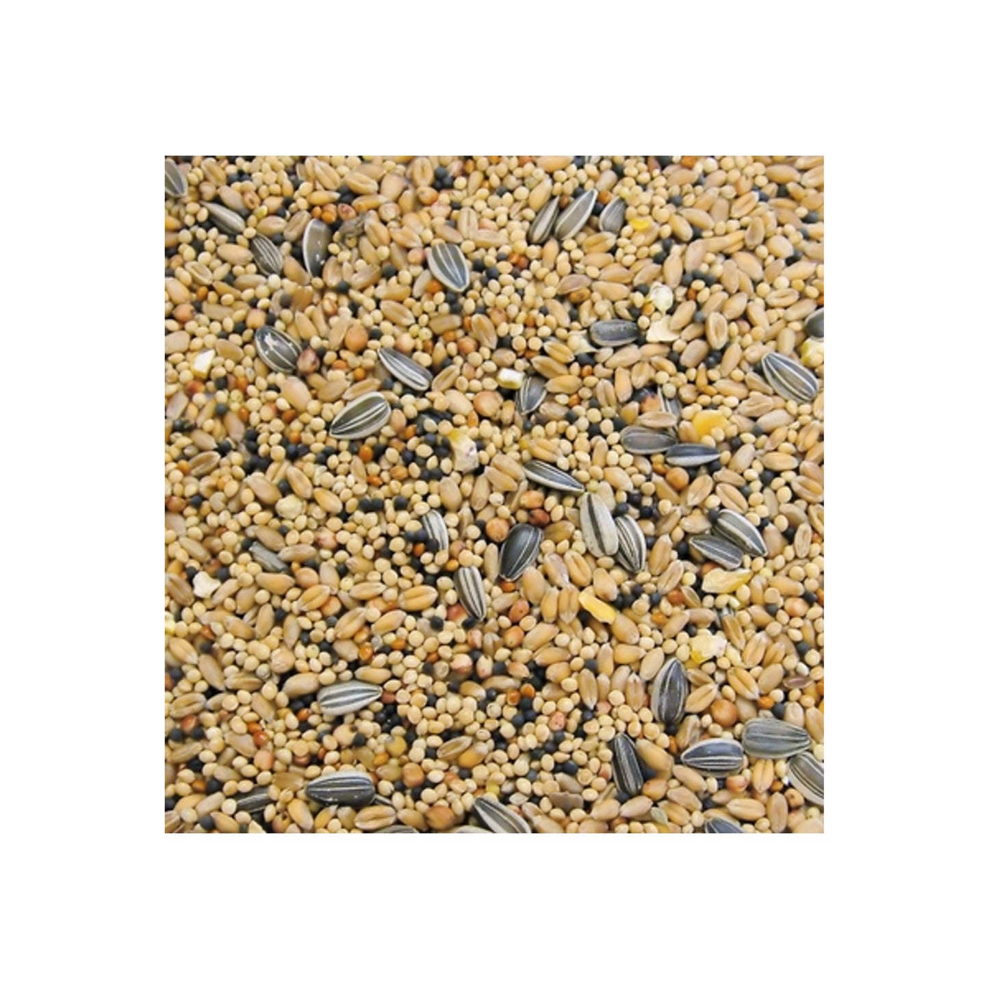 M111 Mias Feeder Birdseed (5lbs)