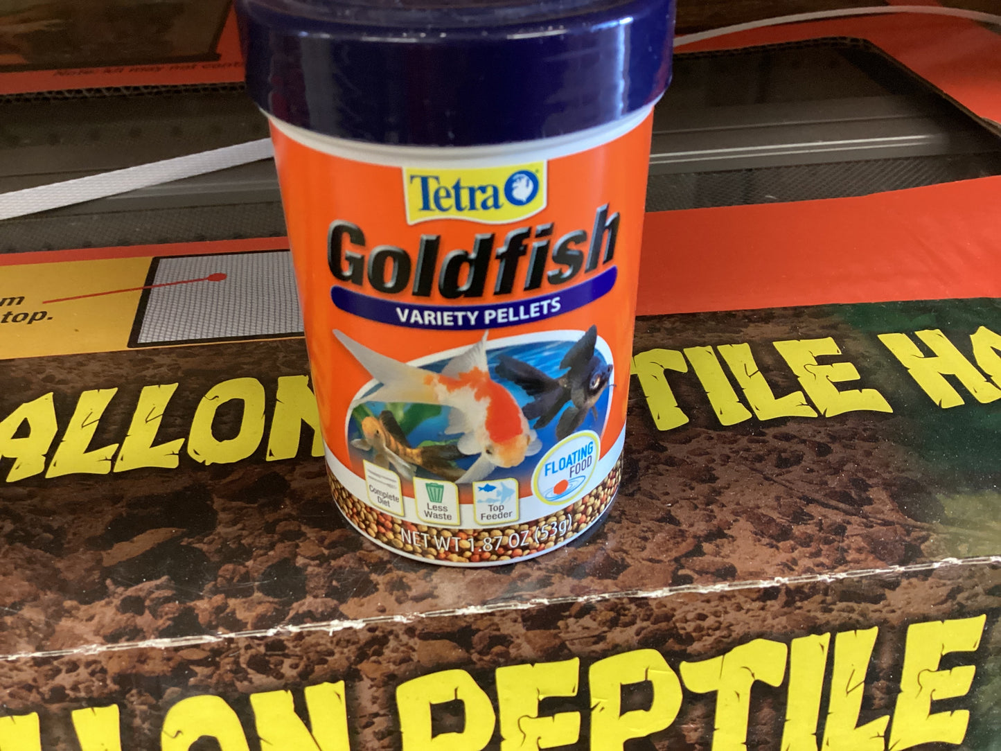 Tetra Goldenfish variety pallets
