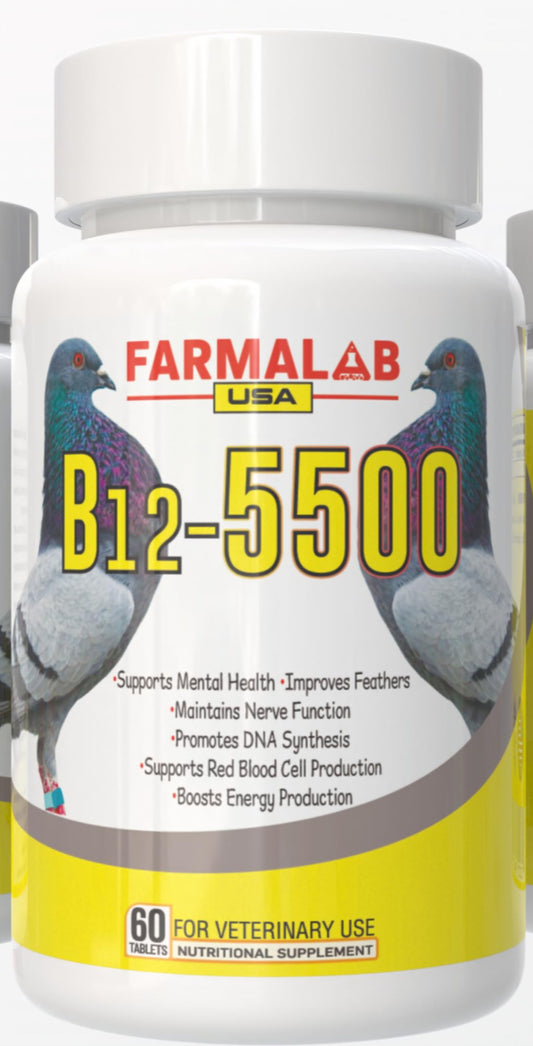 Pigeon B12-5500