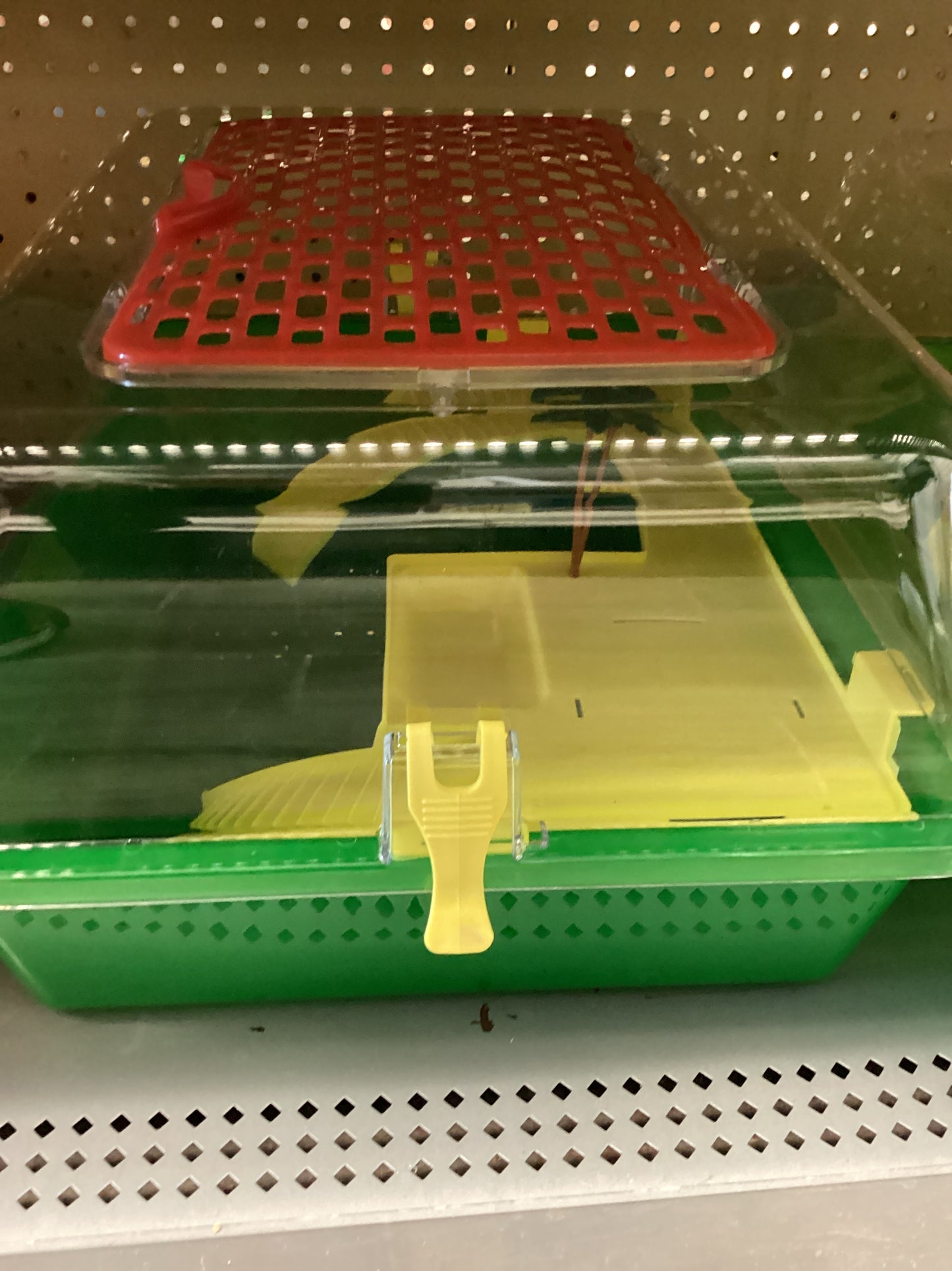 M175 Versatile Turtle Habitat for Land and Semi-Aquatic Species - Multiple Colors